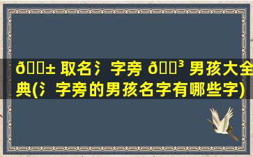 🐱 取名氵字旁 🌳 男孩大全字典(氵字旁的男孩名字有哪些字)